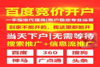 SEM托管服务成功案例精选